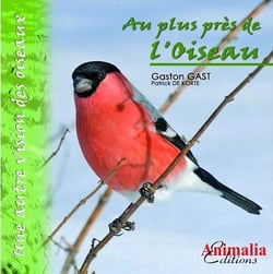 Au plus près de l'oiseau - une autre vision des oiseaux