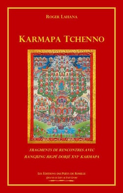 Karmapa Tchenno : fragments de rencontres avec Rangjung Rigpe Dorje XVIe Karmapa