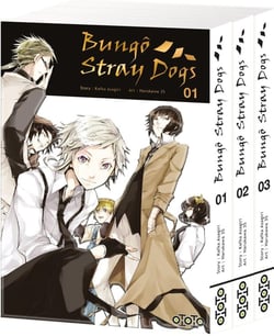 Bungô Stray dogs : Tome 1 à 3