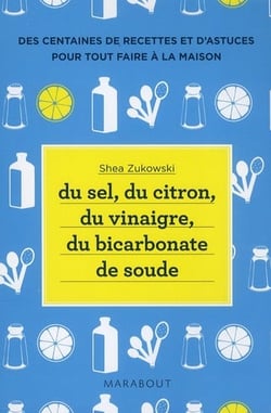Du sel, du citron, du vinaigre, du bicarbonate de soude