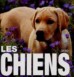 Les chiens