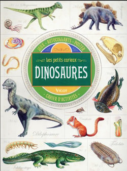 Dinosaures cahier d'activités