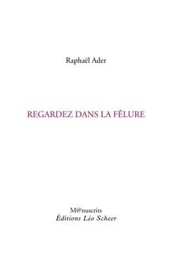 Regardez dans la fêlure