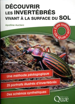 Découvrir les invertébrés vivant à la surface du sol
