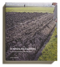 La nature des équilibres ou comment retourner le champ du regard