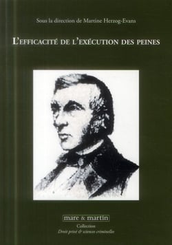 L'efficacité de l'exécution des peines