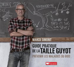 Guide pratique de la taille Guyot - prévenir les maladies du bois