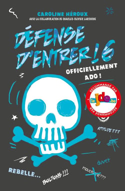 Défense d'entrer ! Tome 6 : officiellement ado !
