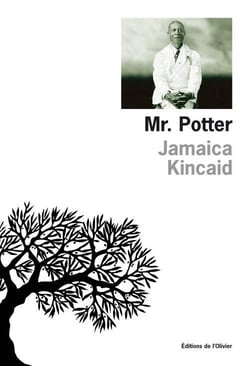 Mr. potter
