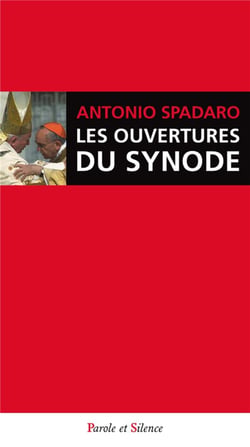 Les ouvertures du synode