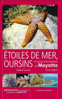Etoiles de mer, oursins et autres echinodermes de mayotte et sa region
