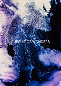 Pursuit of wonders