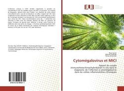 Cytomegalovirus et mici - apport du couple immunohistochimie/hybridation in situ dans le diagnostic