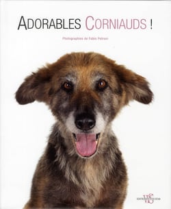 Adorables corniauds !
