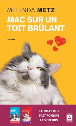 Mac sur un toit brulant