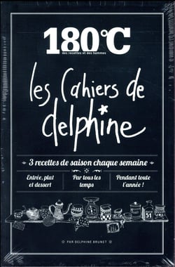 180°C : les cahiers de Delphine - coffret 4 volumes