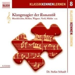 Klangmagier der romantik vol.8