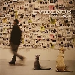 Cat & Dogs