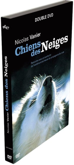 Chiens des neiges