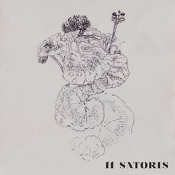 11 Satoris