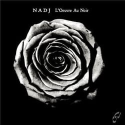 L'oeuvre au noir