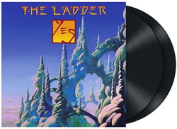 The ladder