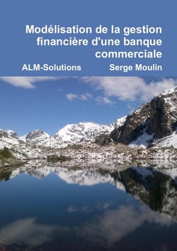 Modélisation de la gestion financière d'une banque commerciale