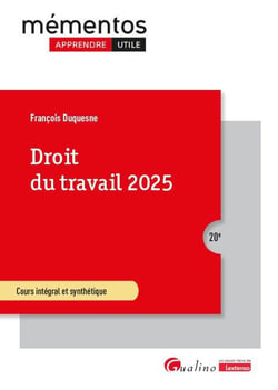Droit du travail 2025 : Cours intégral et synthétique (20e édition)