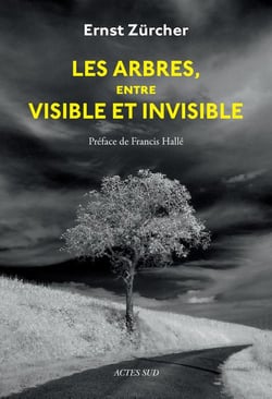 Les arbres, entre visible et invisible : s'étonner, comprendre, agir