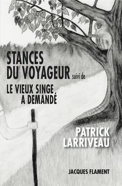 Stances du voyageur - le vieux singe a demandé