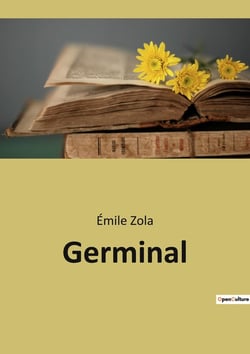 Germinal : La lutte des classes dans les mines du Nord