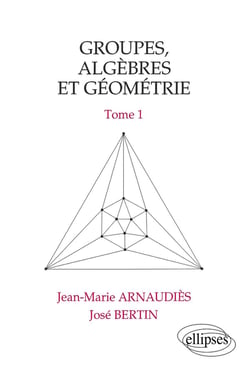 Groupes, algèbres et géométrie - Tome 1