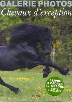 Ma galerie de photos - chevaux d'exception