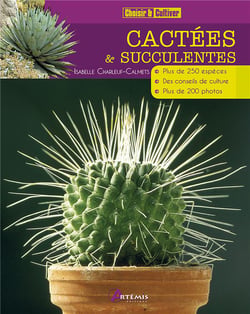 Cactees et succulentes
