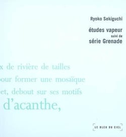 Études vapeur - série grenade