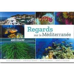 Regards sur la Méditerranée