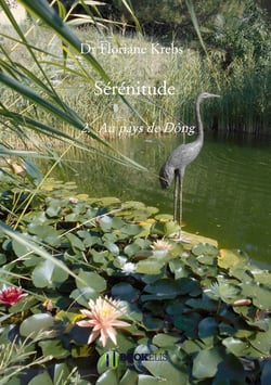 Sérénitude Tome 2 - au pays de Dông