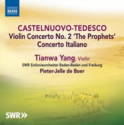 Violin concertos