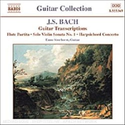Guitar Transcriptions