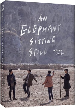 An Elephant Sitting Still