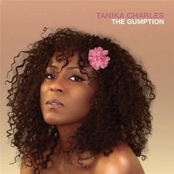 The gumption