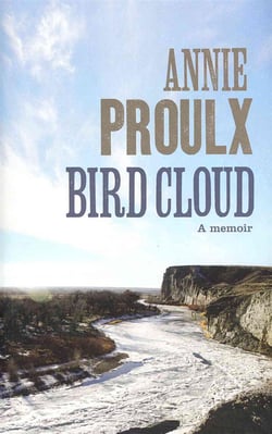 BIRD CLOUD