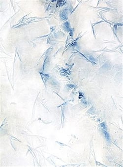 Meghann Riepenhoff : ice