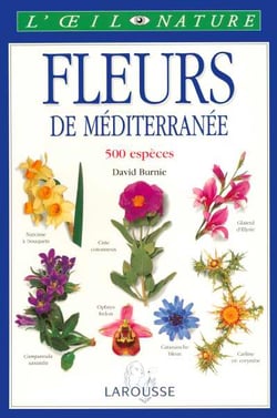 Les fleurs de mediterranee