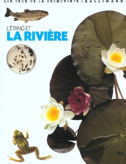L'etang et la riviere