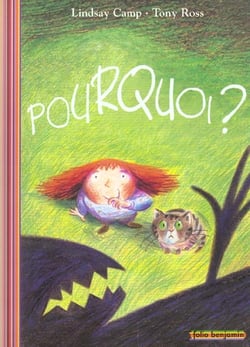 Pourquoi?