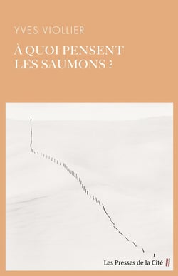 A quoi pensent les saumons ?