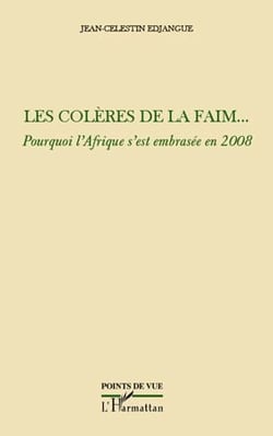 Les colères de la faim... pourquoi l'Afrique s'est embrasée en 2008