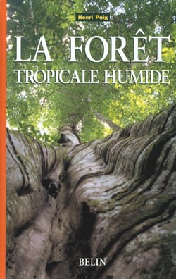 La forêt tropicale humide