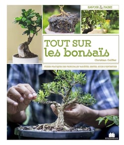 Les bonsaïs - toutes les techniques pour bien débuter et bien s'en occuper
